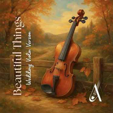 Beautiful Things (Benson Boone Wedding Violin Cover)