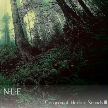 Caravan of Healing Sounds lll