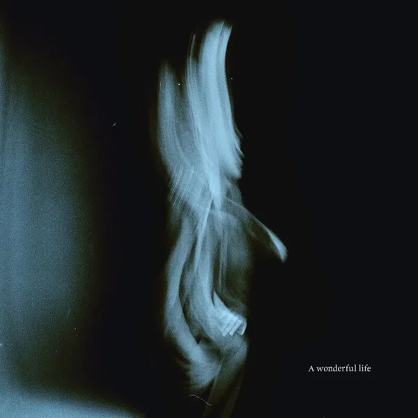 Don’t Cry, Put Your Head on My Shoulder