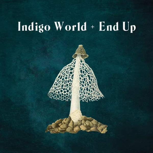 Indigo World / End Up