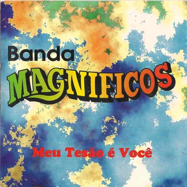 Meu tesão é você by Banda Magníficos - album cover