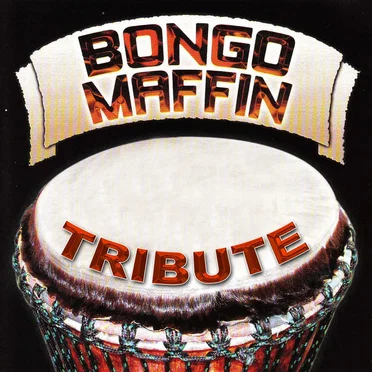 Tribute to Bongo Maffin