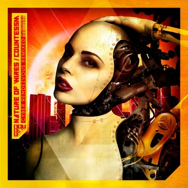 Cyber Rendezvous [remixed] by Nature of Wires - album cover
