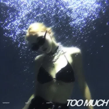 Too Much (versions) by Narvent - album cover
