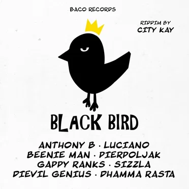 Black Bird Riddim by City Kay by Various Artists - album cover