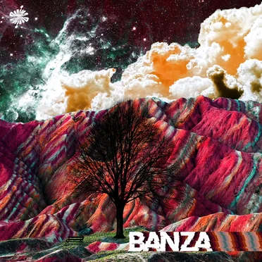 Banza by Various Artists - album cover