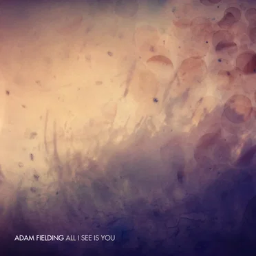 All I See Is You