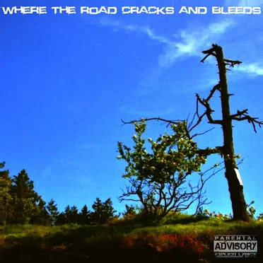 Where The Road Cracks And Bleeds