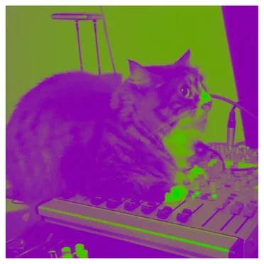Cat Noise Wall