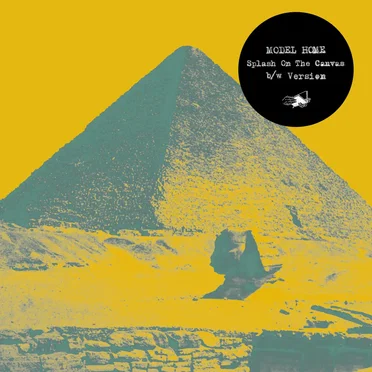 Splash on the Canvas