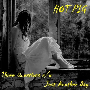 Three Questions by Hot Pig - album cover