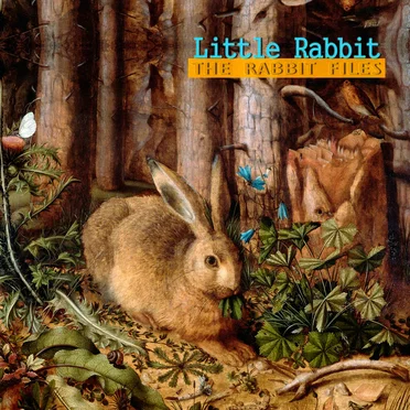 The Rabbit Files