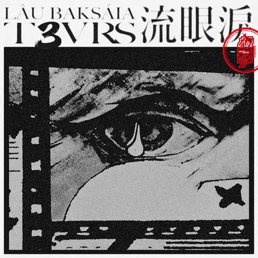 T3VRS by 帕崎拉 - album cover