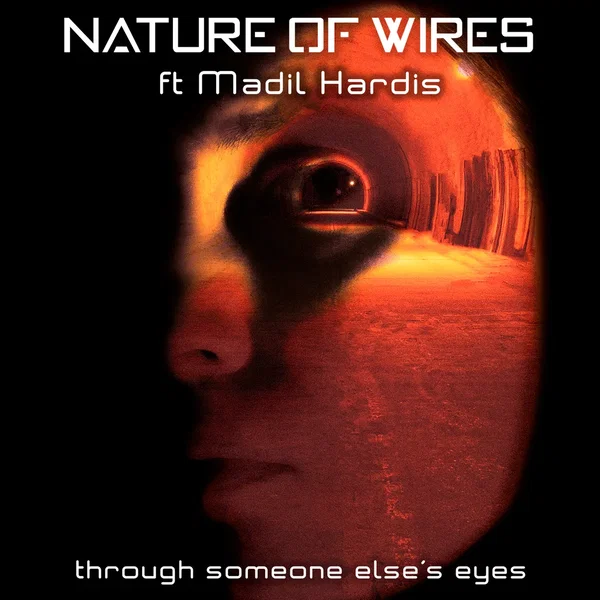 Through Someone Else's Eyes (Leæther Strip remix)