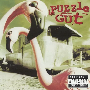 Puzzle Gut by Puzzle Gut - album cover