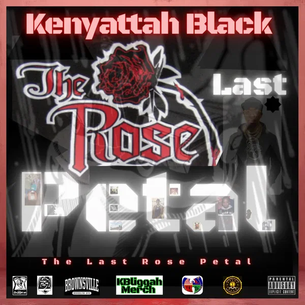 The Last Rose Petal