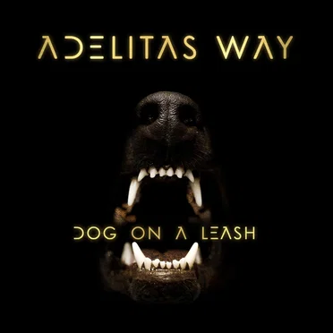 Dog on a Leash