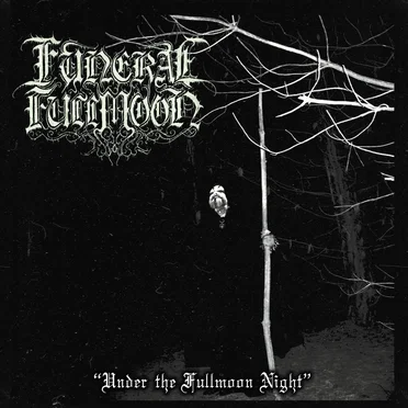 Under the Fullmoon Night