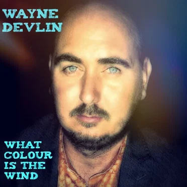What Colour Is The Wind by Wayne Devlin - album cover