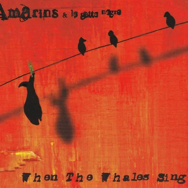 When the whales sing by Amarins & Le Gatte Negre - album cover