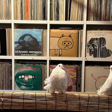 2025-02-20: NTS Radio