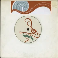 Boom Bip artist image