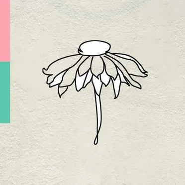 Seed (It Might) by Aesha Minor - album cover