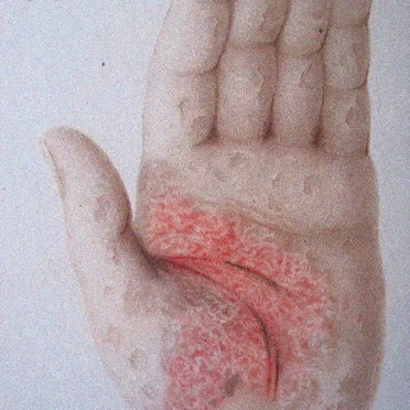 She Destroys Hope / VOMIR