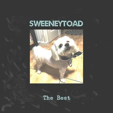 The Best by Sweeney Toad - album cover