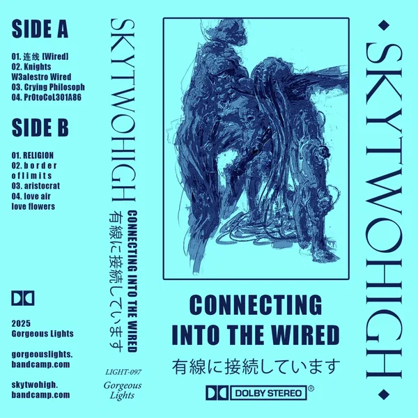 ＣＯＮＮＥＣＴＩＮＧ ＩＮＴＯ ＴＨＥ ＷＩＲＥＤ