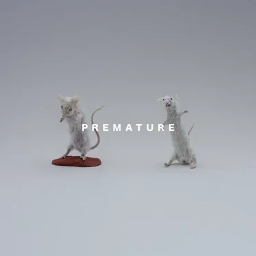 Premature by Concentration - album cover