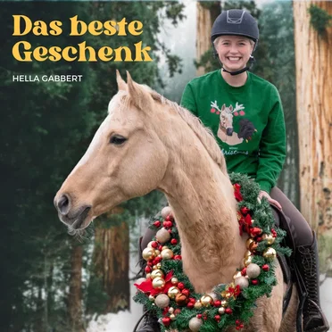 Das beste Geschenk by Hella Gabbert - album cover