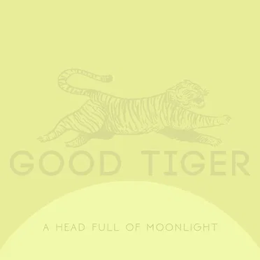 A Head Full of Moonlight