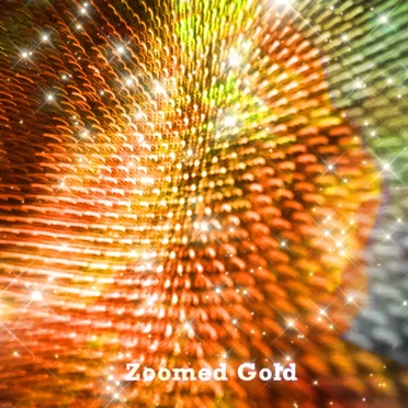 Zoomed Gold