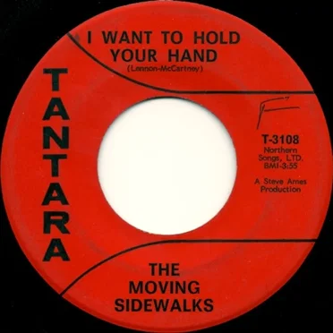 I Want To Hold Your Hand / Joe Blues