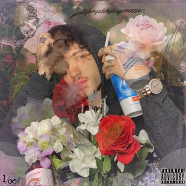Pretty Boys Like Trap Music