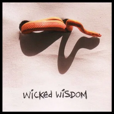 Wicked Wisdom by Wicked Wisdom - album cover