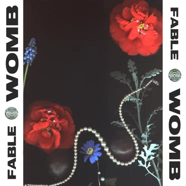 Womb