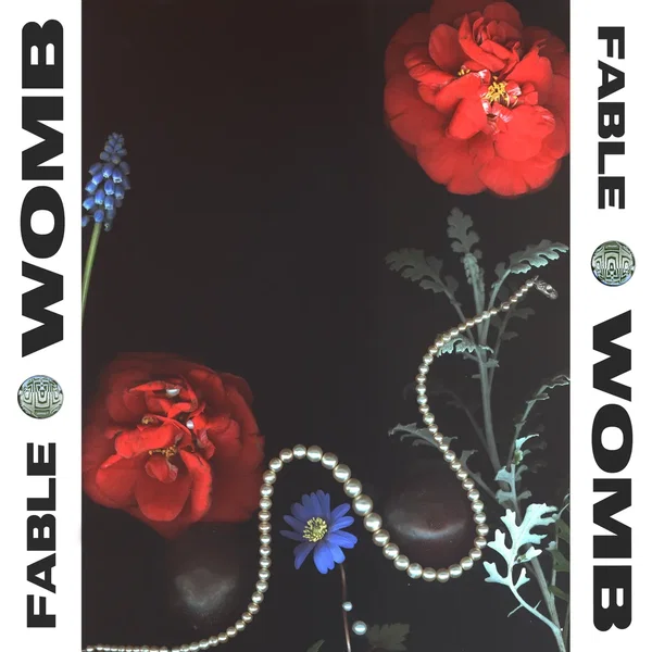Womb