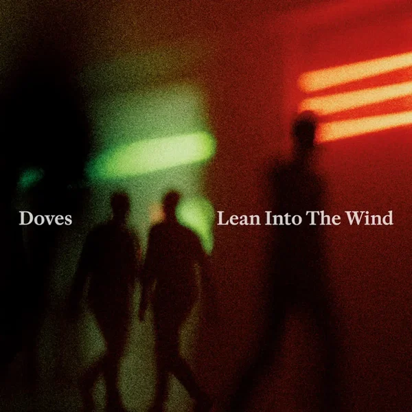 Lean Into The Wind