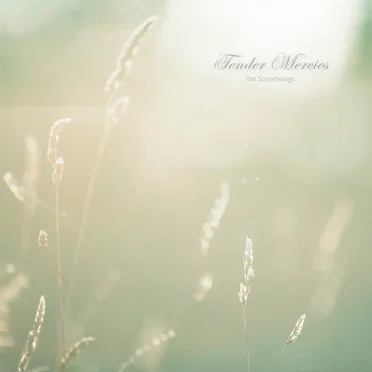 Tender Mercies by The Soundwings - album cover