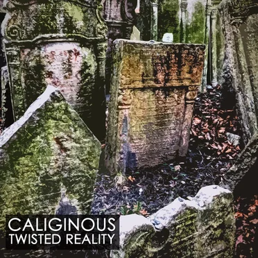 Twisted Reality by Caliginous - album cover