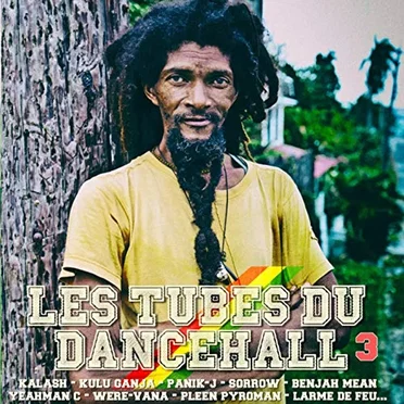 Les tubes du Dancehall, vol. 3 by Various Artists - album cover