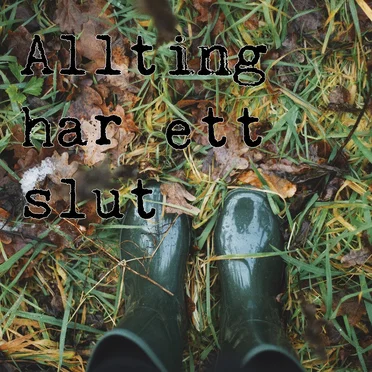 Allting har ett slut by Magnum Bonum - album cover