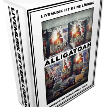 Livemusik ist keine Lösung: Himmelfahrtskommando Tour