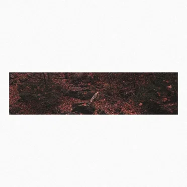 Crimson Branches by utem kaure - album cover