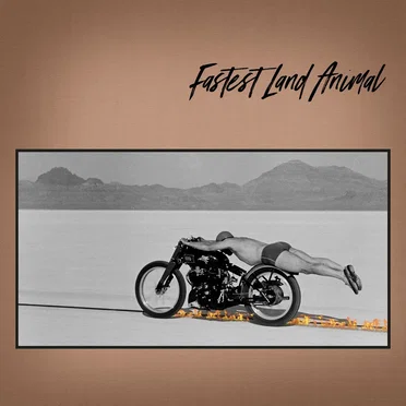 Fastest Land Animal by Fastest Land Animal - album cover
