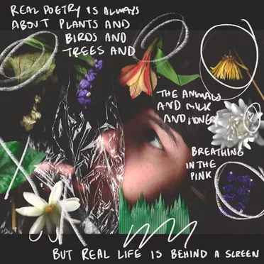 Real poetry is always about plants and birds and trees and the animals and milk and honey breathing in the pink but real life is behind a screen by Pacing - album cover