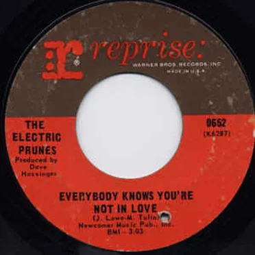 Everybody Knows You're Not In Love / You've Never Had It Better