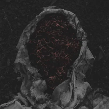 Stillamentum
